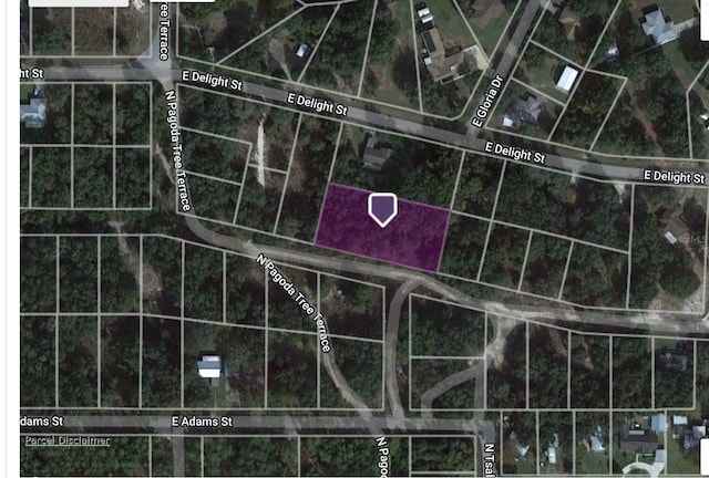 3917 E Peggy St, Hernando FL, 34442 land for sale