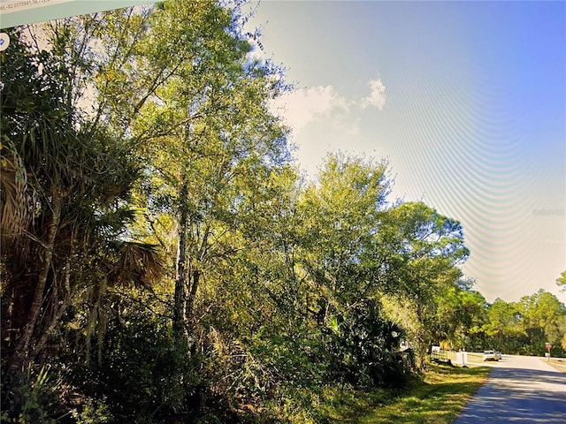 26191 Deer Rd, Punta Gorda FL, 33955 land for sale