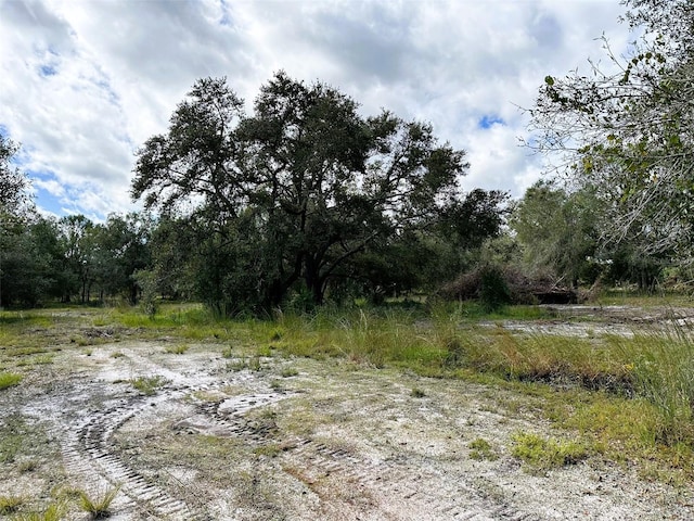 SE Tomlin Dr, Arcadia, FL 34266