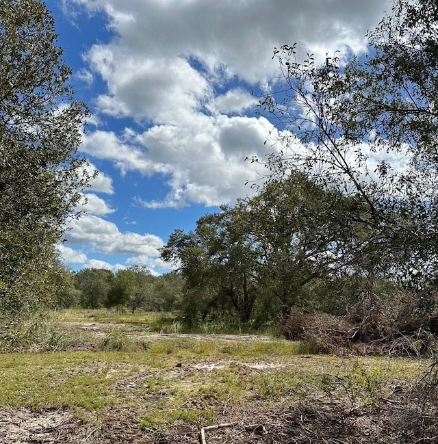 SE Tomlin Dr, Arcadia, FL 34266