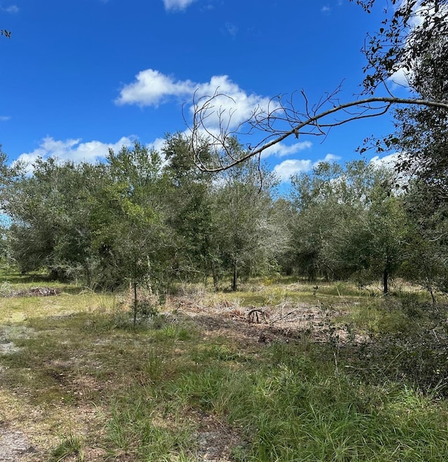SE Tomlin Dr, Arcadia, FL 34266