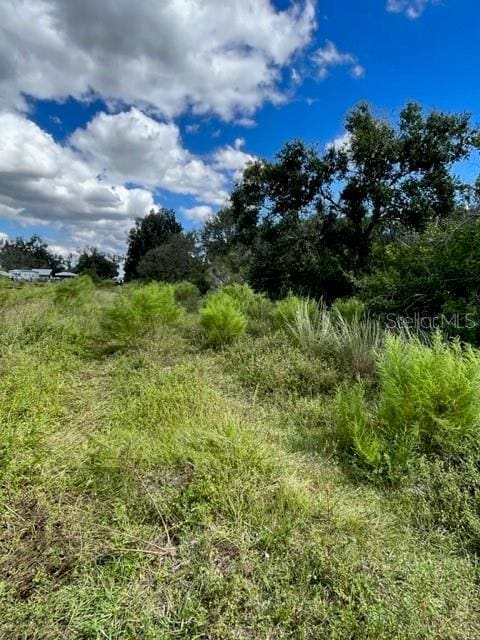 SE Tomlin Dr, Arcadia, FL 34266