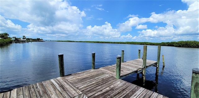 dock area featuring a water view