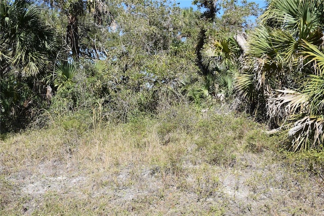 LOT15 Backert Rd, North Port FL, 34291 land for sale