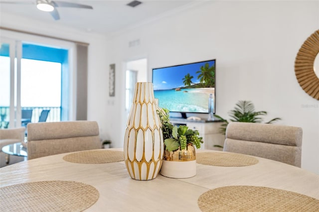 living room featuring ceiling fan