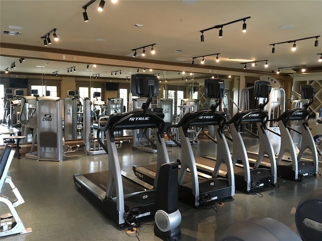 workout area featuring a wealth of natural light and rail lighting