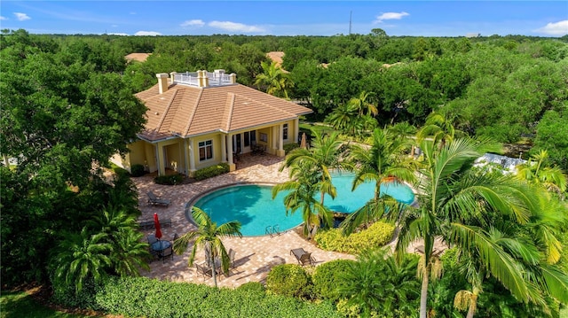 view of pool featuring a patio area