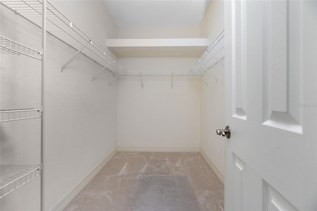 walk in closet with light carpet