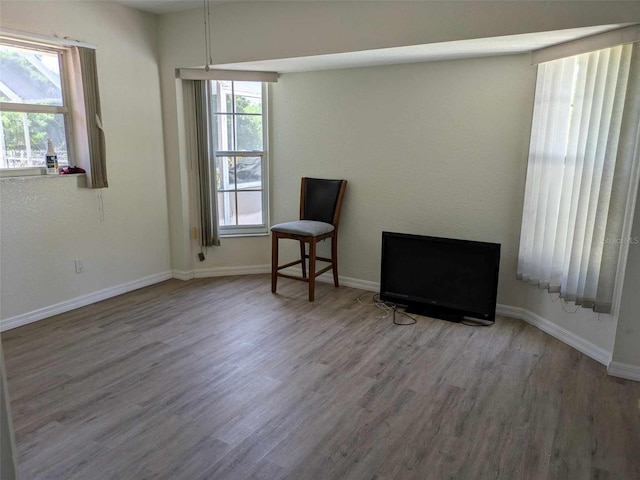 living area featuring hardwood / wood-style flooring