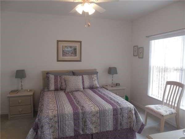 bedroom with multiple windows, carpet, and ceiling fan