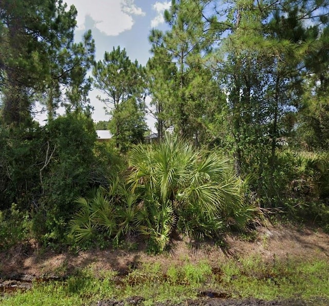 22228 Clinton Ave, Port Charlotte FL, 33954 land for sale