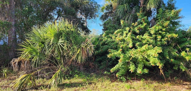 Hurley Ave, North Port FL, 34288 land for sale