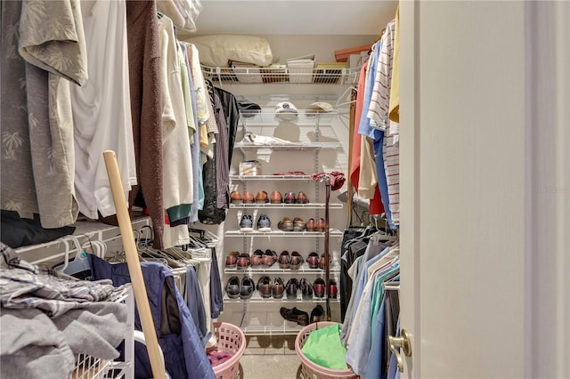 view of spacious closet