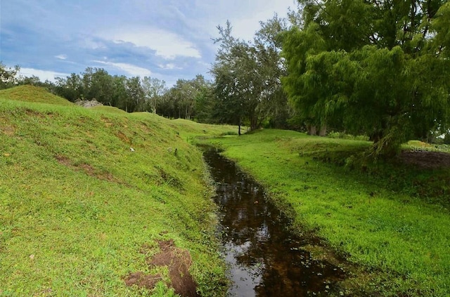 view of local wilderness featuring a water view