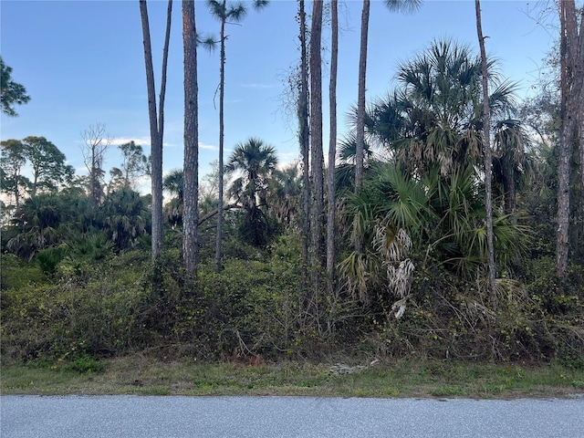 Listing photo 2 for Rufus Rd, North Port FL 34288