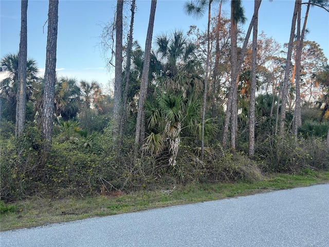 Listing photo 3 for Rufus Rd, North Port FL 34288