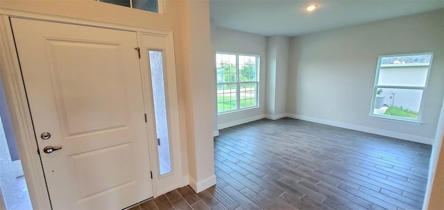 entrance foyer featuring dark wood-type flooring