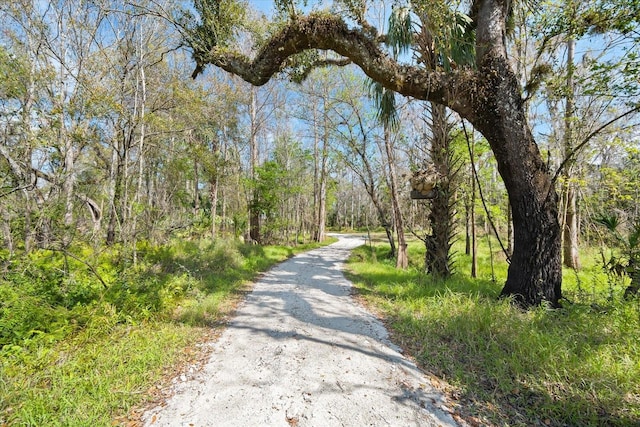 view of road