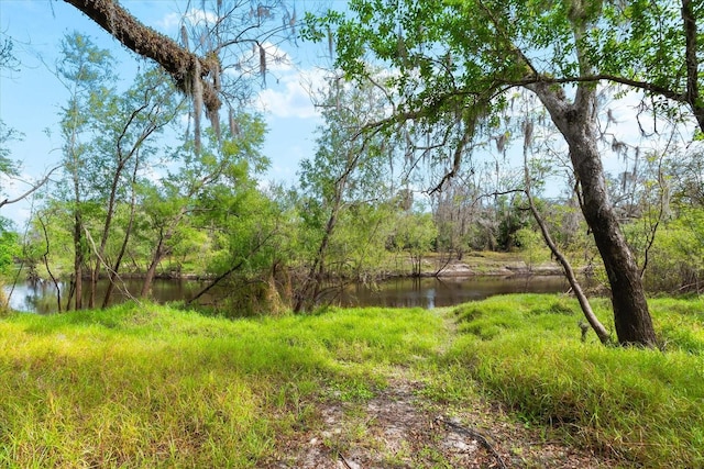 view of landscape with a water view