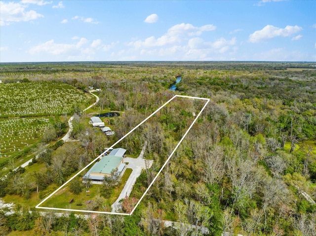 drone / aerial view featuring a rural view