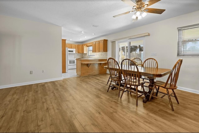 dining area with ceiling fan and light hardwood / wood-style flooring