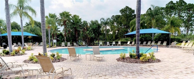 view of swimming pool featuring a patio area