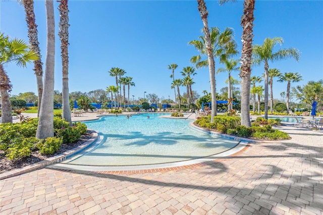 view of swimming pool