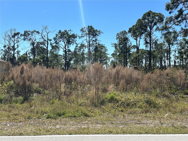 11603 Willmington Blvd, Port Charlotte FL, 33981 land for sale