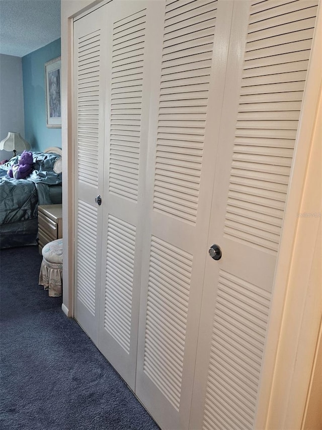21280 Brinson Ave Unit 205, Port Charlotte, FL 33952 - interior details featuring a textured ceiling and carpet floors