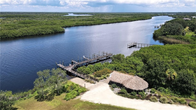 drone / aerial view with a water view