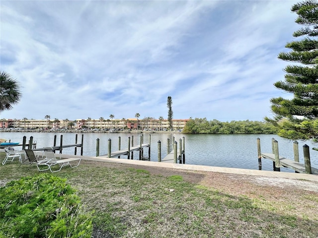 dock area with a water view