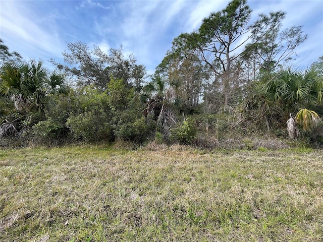 12341 Endicott Ln, Port Charlotte FL, 33953 land for sale