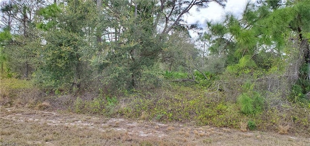 Listing photo 2 for 3000 W Nogales Rd, Avon Park FL 33825