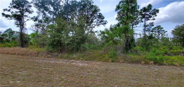 Listing photo 4 for 3000 W Nogales Rd, Avon Park FL 33825