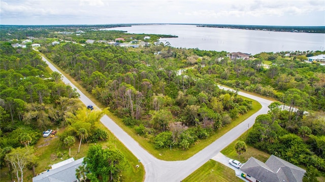 12253 Endicott Ln, Port Charlotte FL, 33953 land for sale