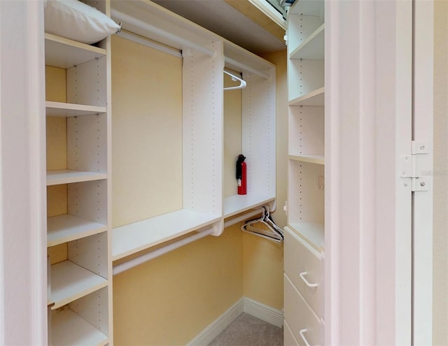 view of spacious closet