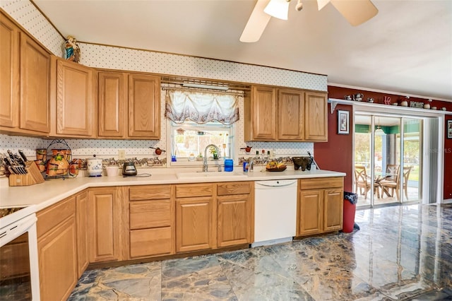 kitchen featuring white dishwasher, plenty of natural light, ceiling fan, and sink