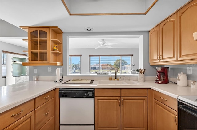 kitchen with white dishwasher, ceiling fan, and sink