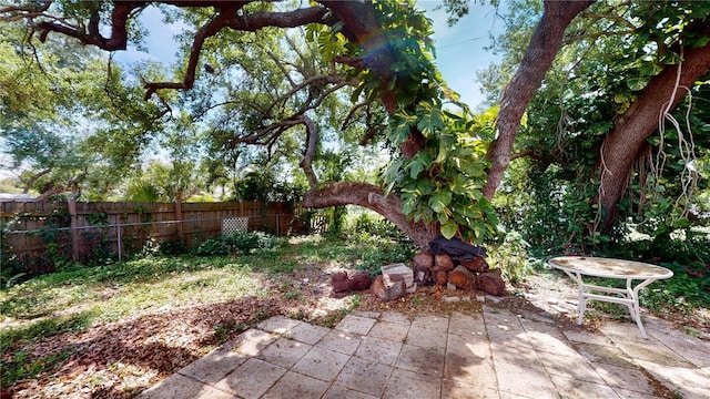 view of yard featuring a patio