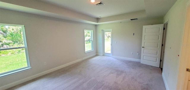 spare room featuring a raised ceiling and light colored carpet