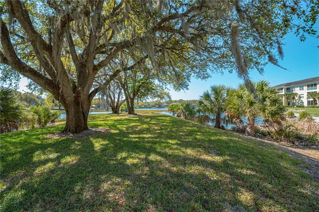 view of yard with a water view