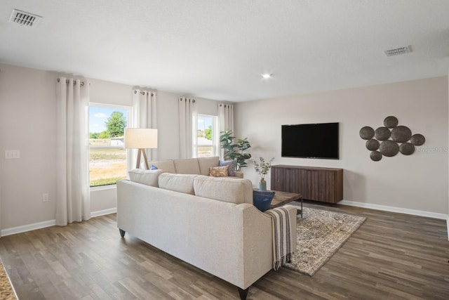 living room with dark hardwood / wood-style floors and a healthy amount of sunlight