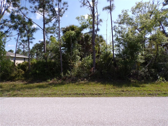 12067 Van Lenten Blvd, Port Charlotte FL, 33981 land for sale