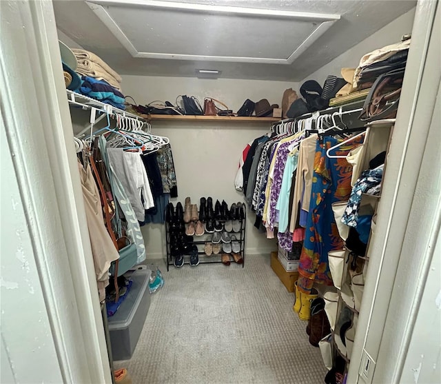 spacious closet with carpet flooring