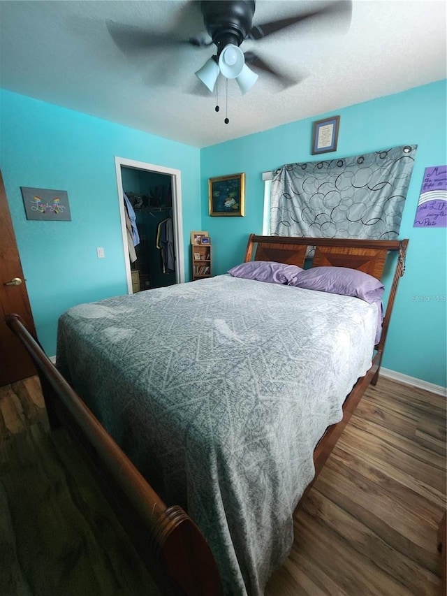 bedroom featuring a closet, ceiling fan, a walk in closet, and dark wood-type flooring