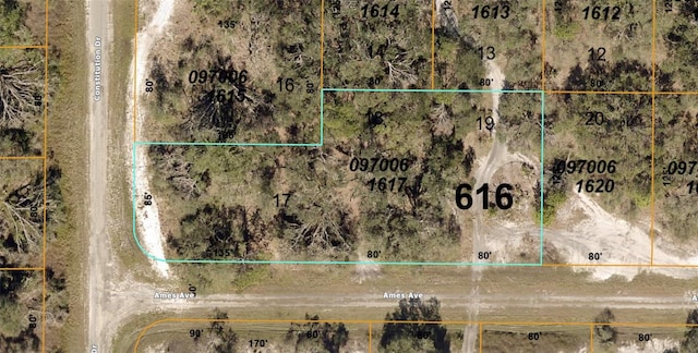 Ames Ave, North Port FL, 34291 land for sale