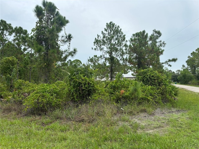 12349 Oscar Dr, Punta Gorda FL, 33955 land for sale