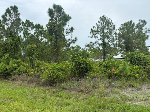 Listing photo 3 for 12349 Oscar Dr, Punta Gorda FL 33955