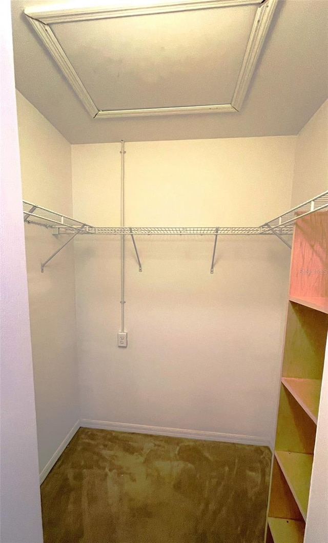 spacious closet featuring dark colored carpet