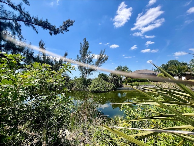 2234 NW 2nd Ave, Cape Coral FL, 33993 land for sale